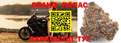 сатива Владикавказ